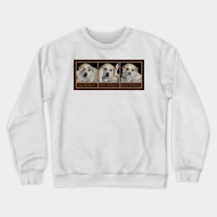 See BoWeevil Crewneck Sweatshirt